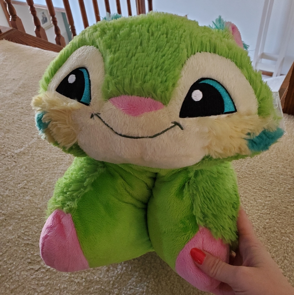 Pillow pet